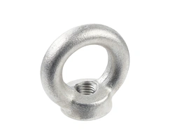 High-Performance Alloy C22 Eye Nuts